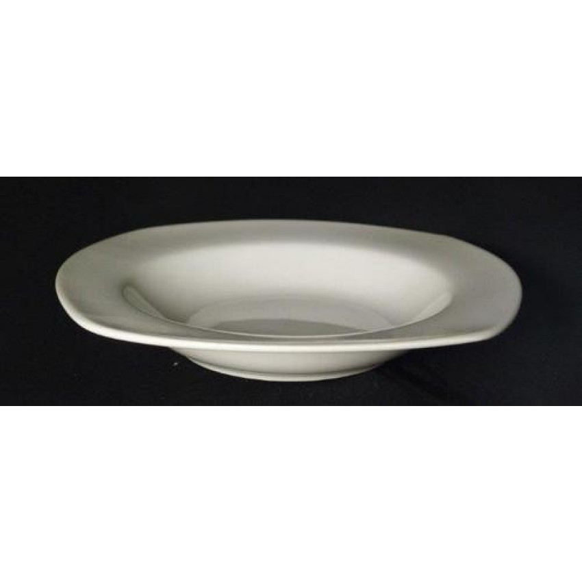 ASSIETTE À SOUPE OU PÂTES AVEC REBORD 24CM