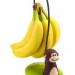 ARBRE POUR BANANES MONKEY JOIE 